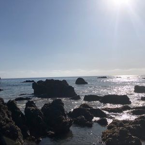 Meet your Posher, Dani